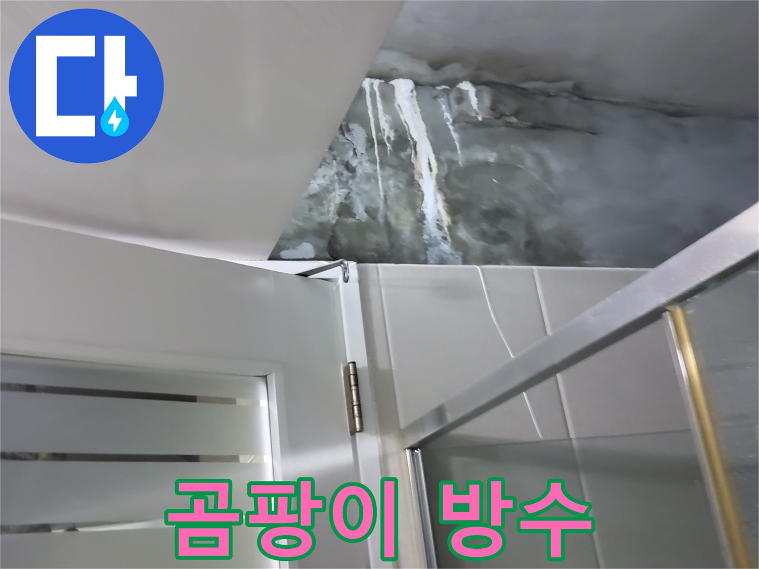 분당구 운중동 샤워부스 벽면 곰팡이 흔적과 방수 기능 저하 확인 - 누수 전문적 진단