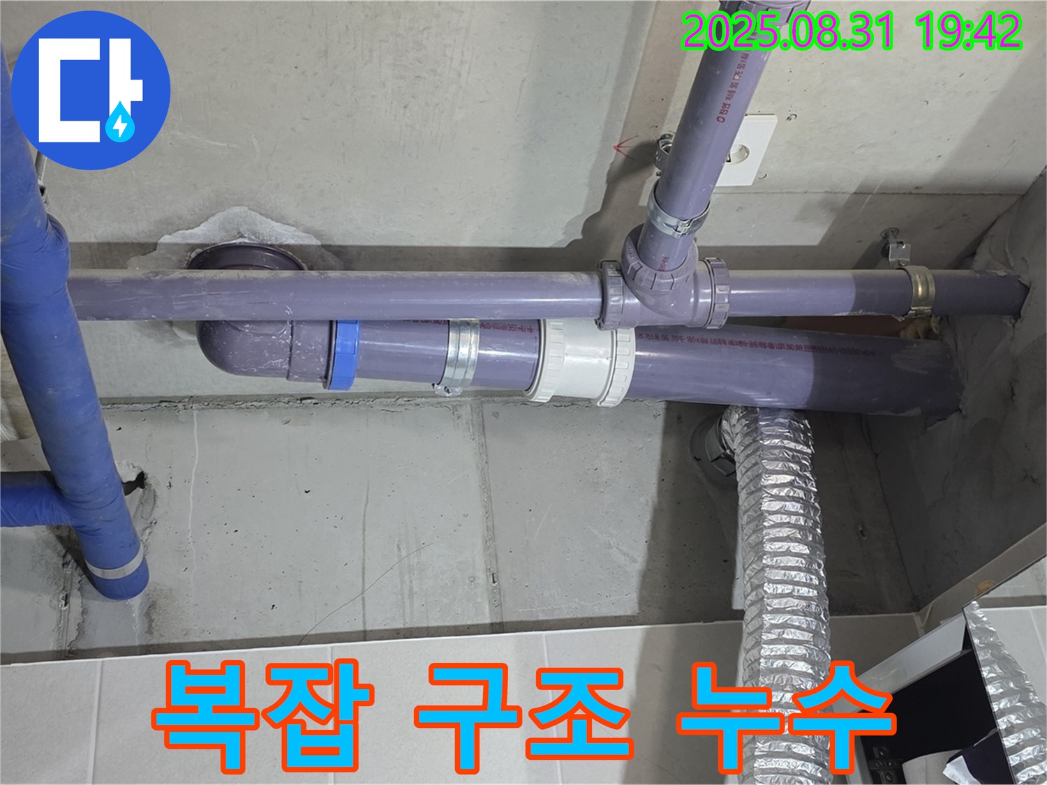 산운마을 아파트 - 세탁실 천장 복잡한 배관 구조 - 누수 전문가가 꼼꼼하게 원인을 파악 중입니다.