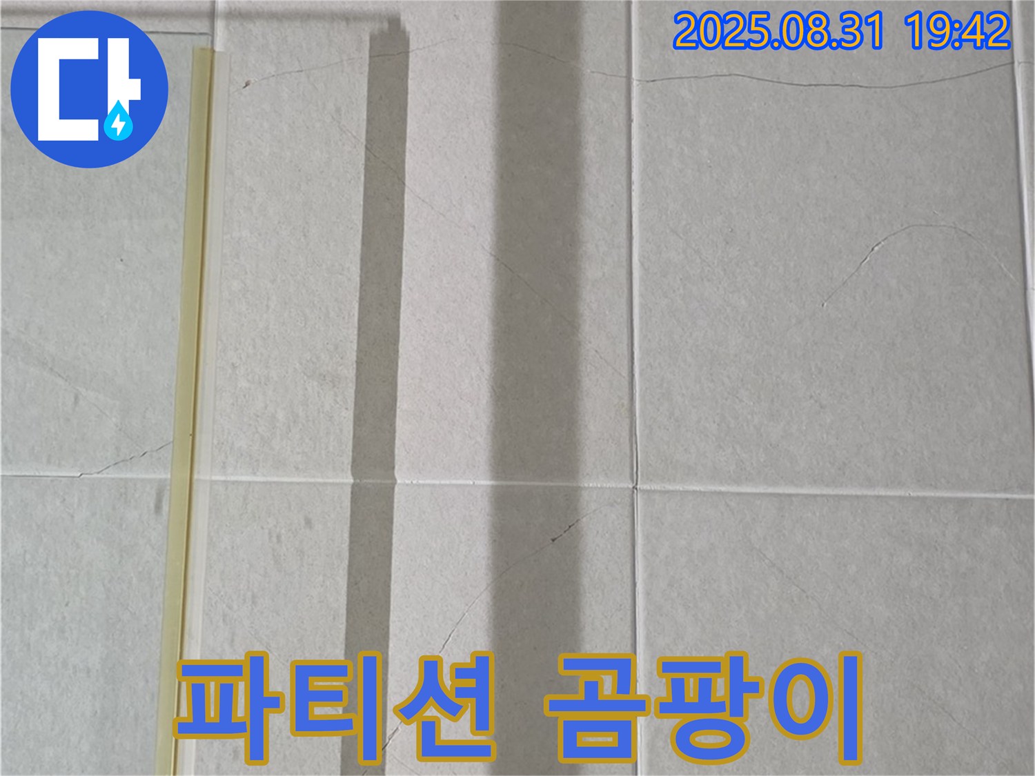 샤워기 파티션 - 곰팡이 식민지, 점령 속도 빛의 속도?!