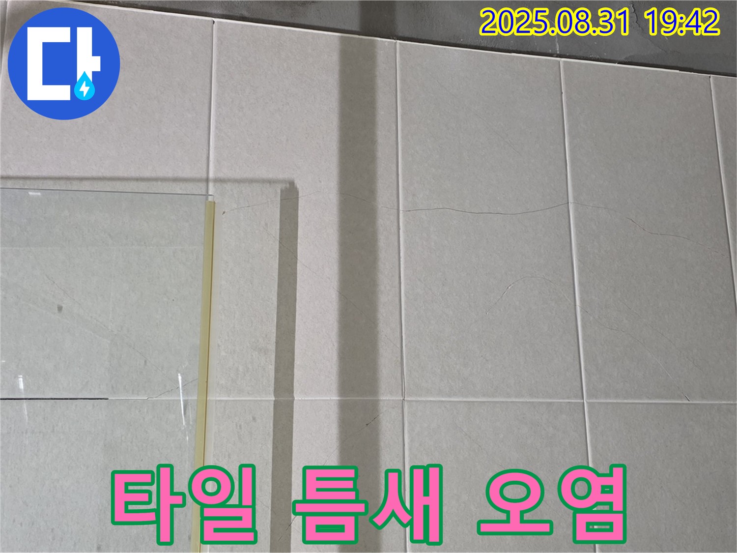 샤워부스 벽 타일 틈새 백시멘트 오염 - 오염된 틈새는 누수의 시작!