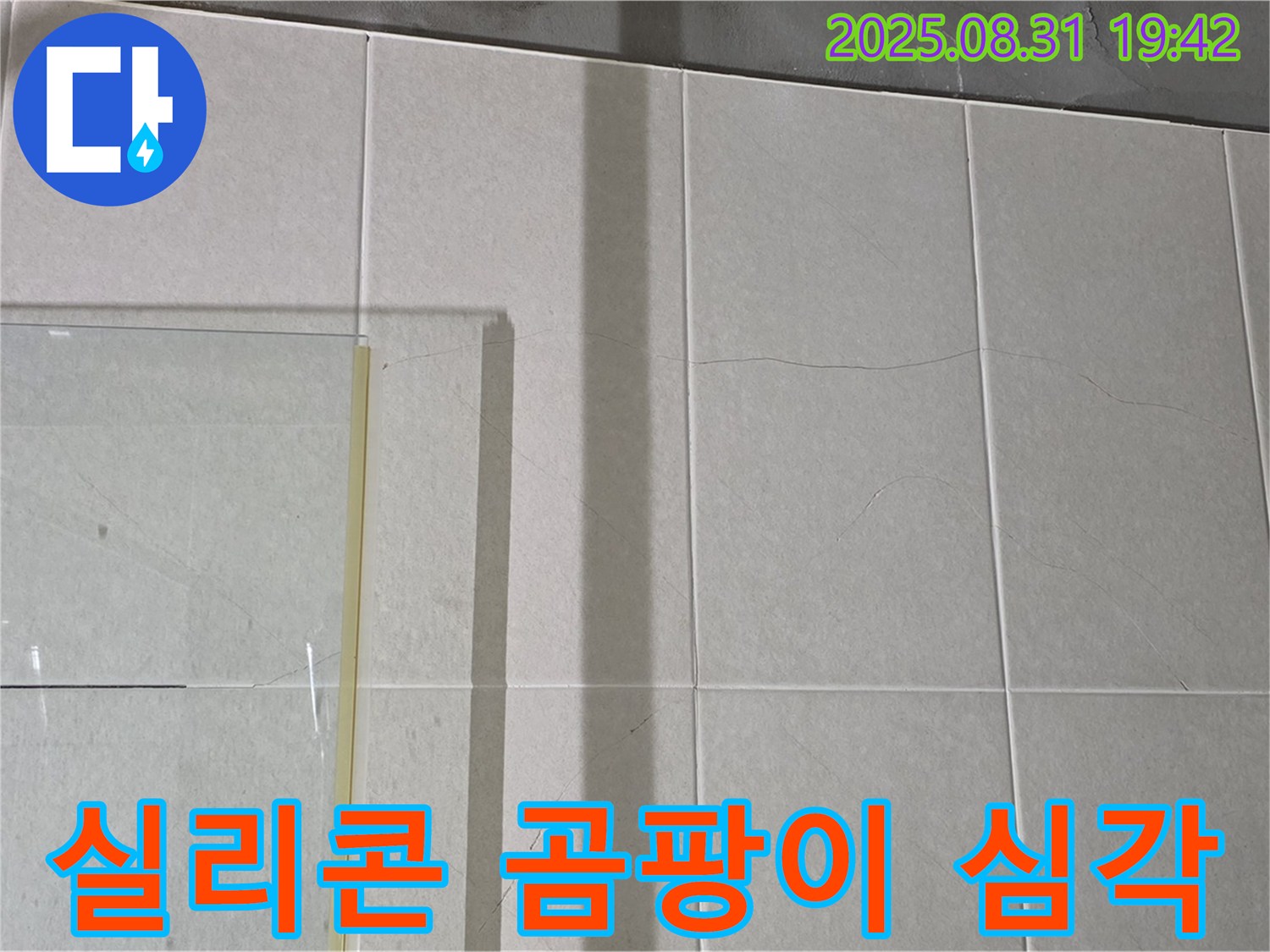 샤워부스 유리 패널 하단 실리콘 곰팡이 - 심각한 곰팡이는 누수의 확실한 증거입니다.