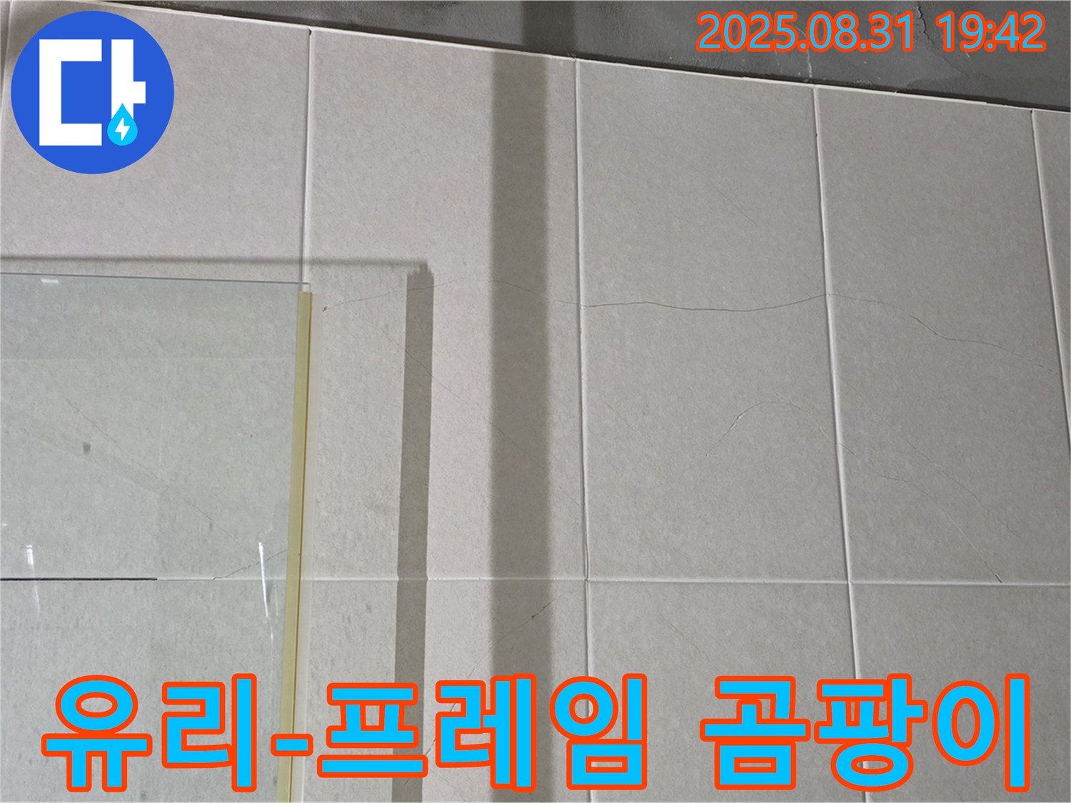 샤워부스 유리와 프레임 사이 곰팡이 - 곰팡이는 습한 환경과 누수의 증거!