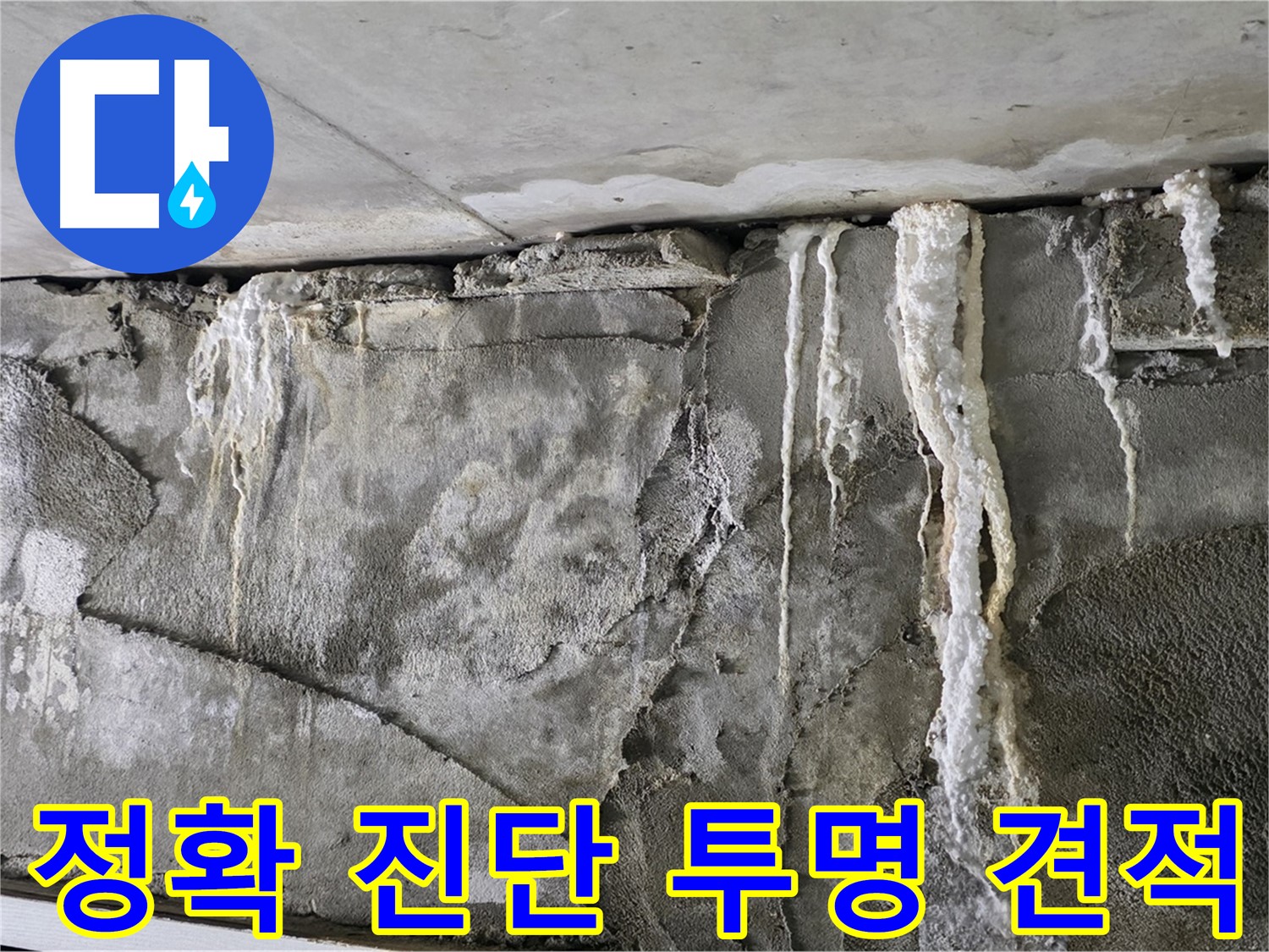 성남 누수 탐지 - 정확한 진단과 투명한 견적, 고객 만족도 최상