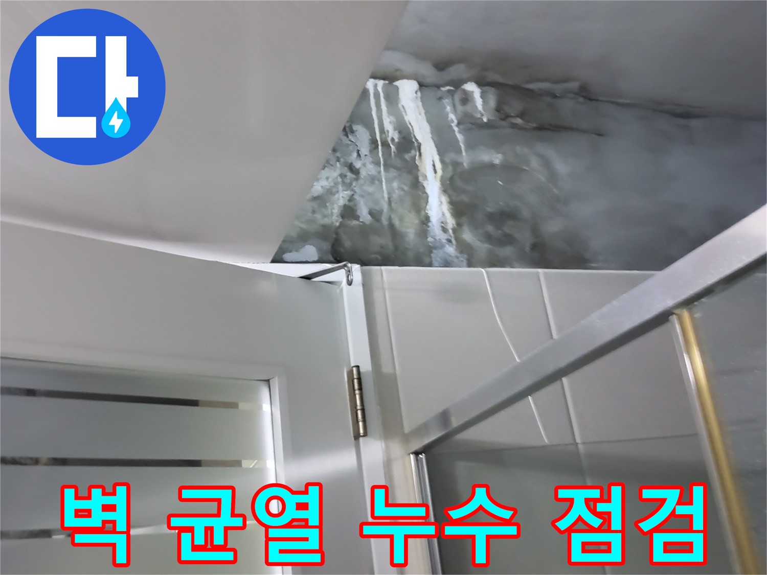 성남 분당 샤워부스 벽면 균열 및 누수 가능성 점검 - 꼼꼼한 확인 과정