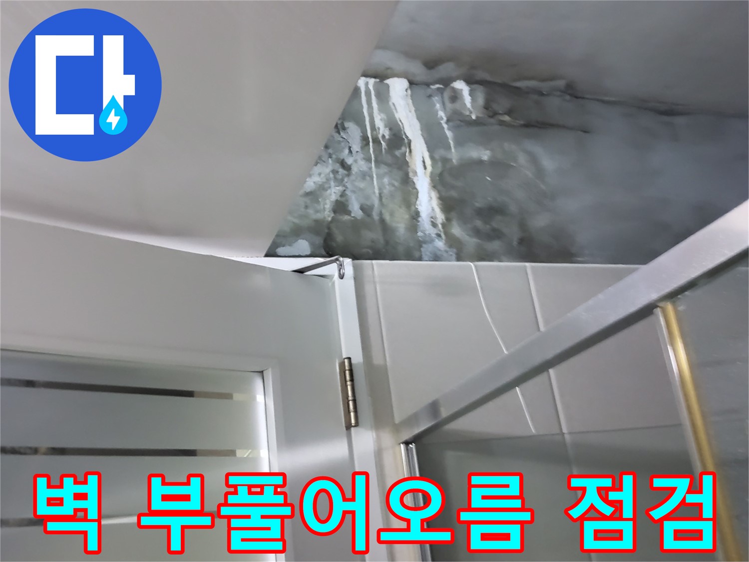 성남 분당 샤워부스 옆 벽면 부풀어오름 및 누수 가능성 점검 - 꼼꼼한 확인 과정