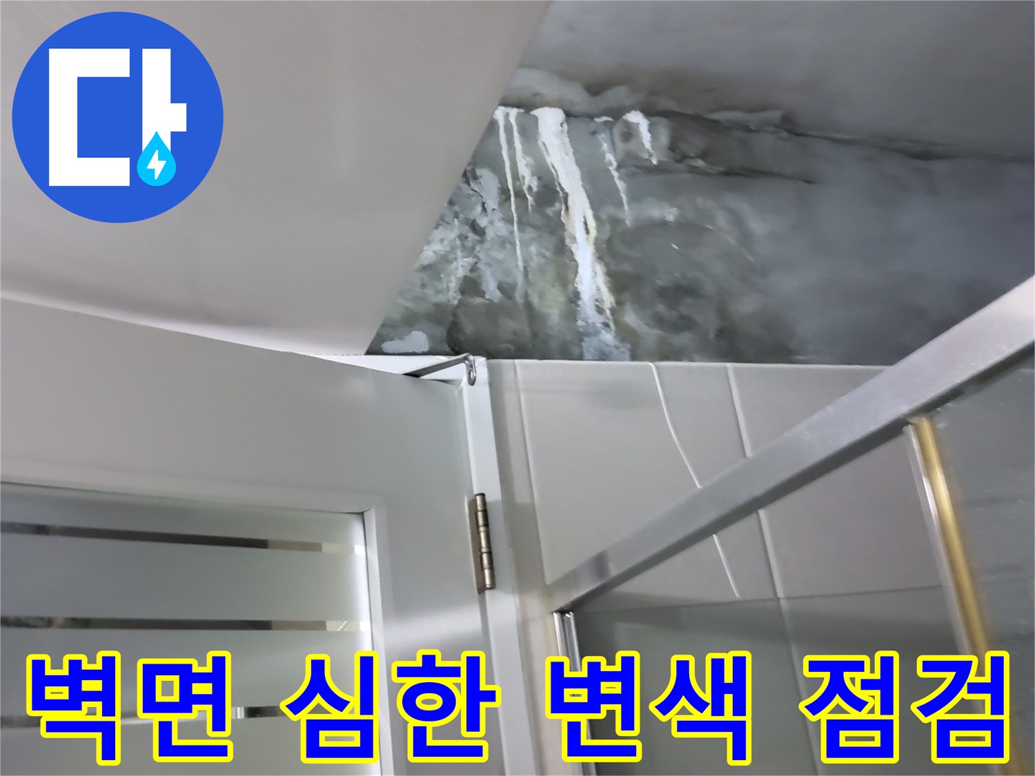 성남 분당 샤워부스 옆 벽면 심한 변색 및 누수 가능성 면밀 점검 - 꼼꼼한 확인 과정