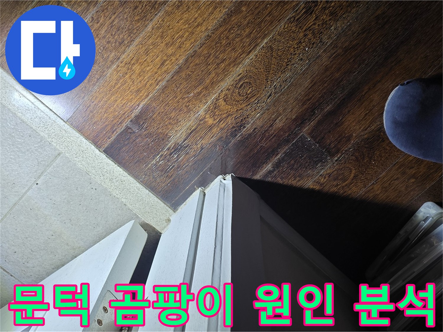 성남 분당 아파트 누수 - 운중동 산운마을 문턱 주변 곰팡이 발생 원인 집중 분석