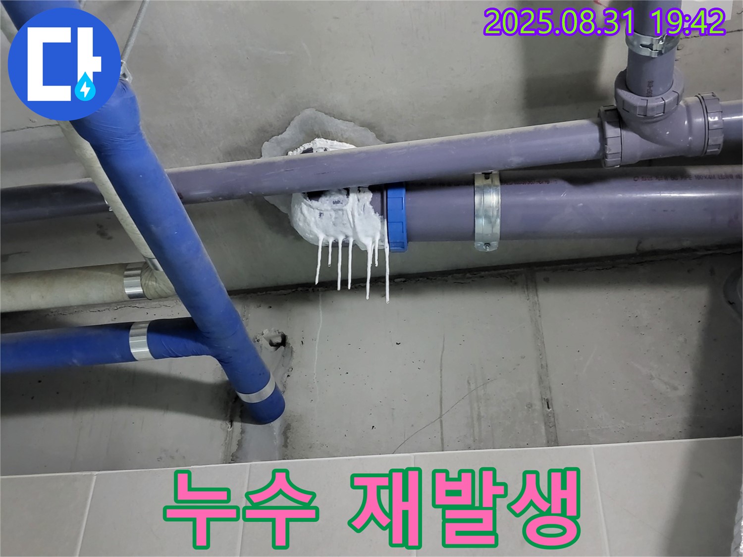성남 분당 운중동 산운로 주택 욕실 누수 - 핀 시공 후 누수 재발생 확인