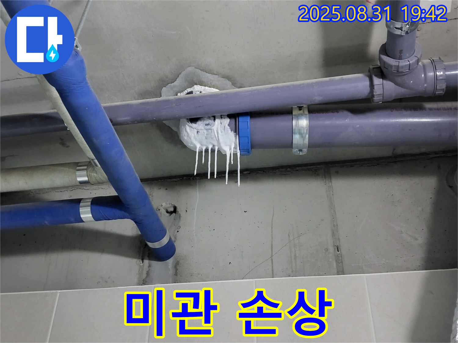 성남 분당 운중동 산운로 주택 욕실 누수 - 핀 시공 흔적으로 인한 미관 손상 확인