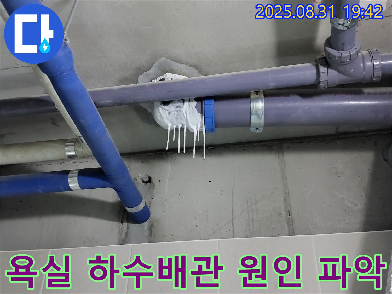성남 분당 운중동 산운마을 6단지 누수 - 욕실 하수배관 누수 원인 파악 과정