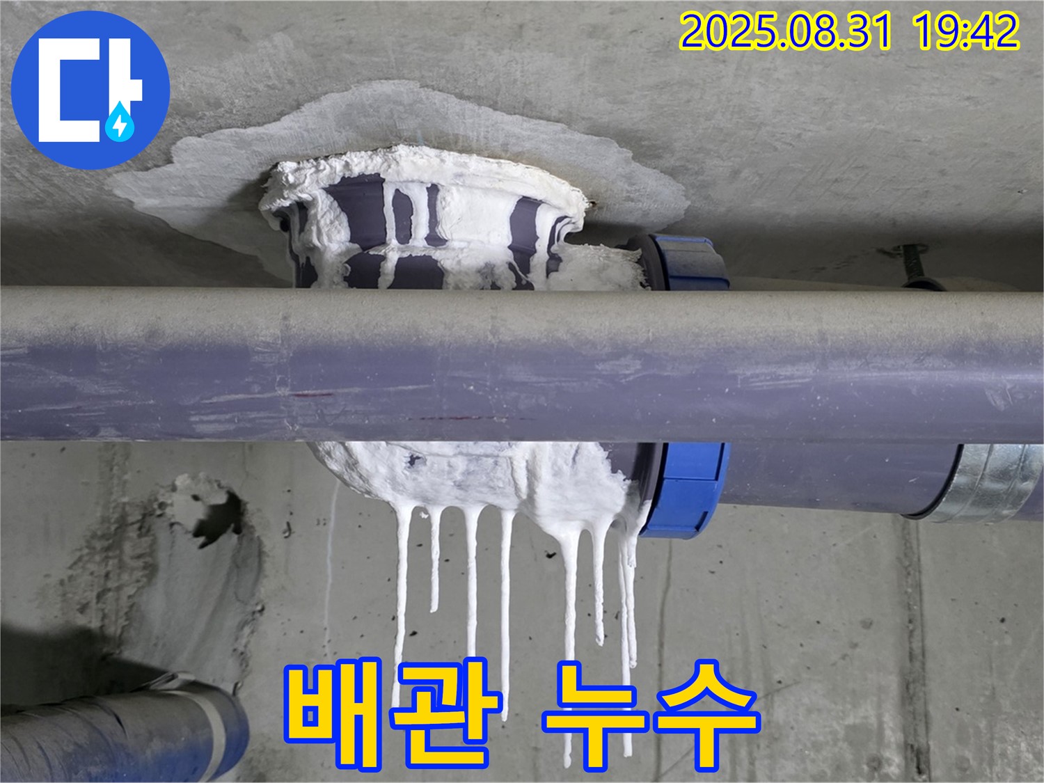 성남 분당 운중동 산운마을 배관 누수 - 천장에서 물이 떨어지는 긴급 상황