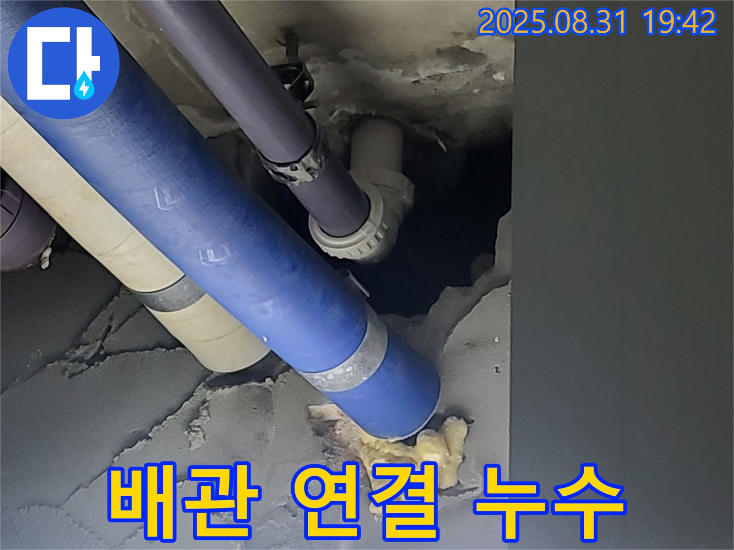 성남 분당 운중동 산운마을 배관 연결 부위 누수 - 정확한 위치를 찾아 완벽하게 보수합니다.