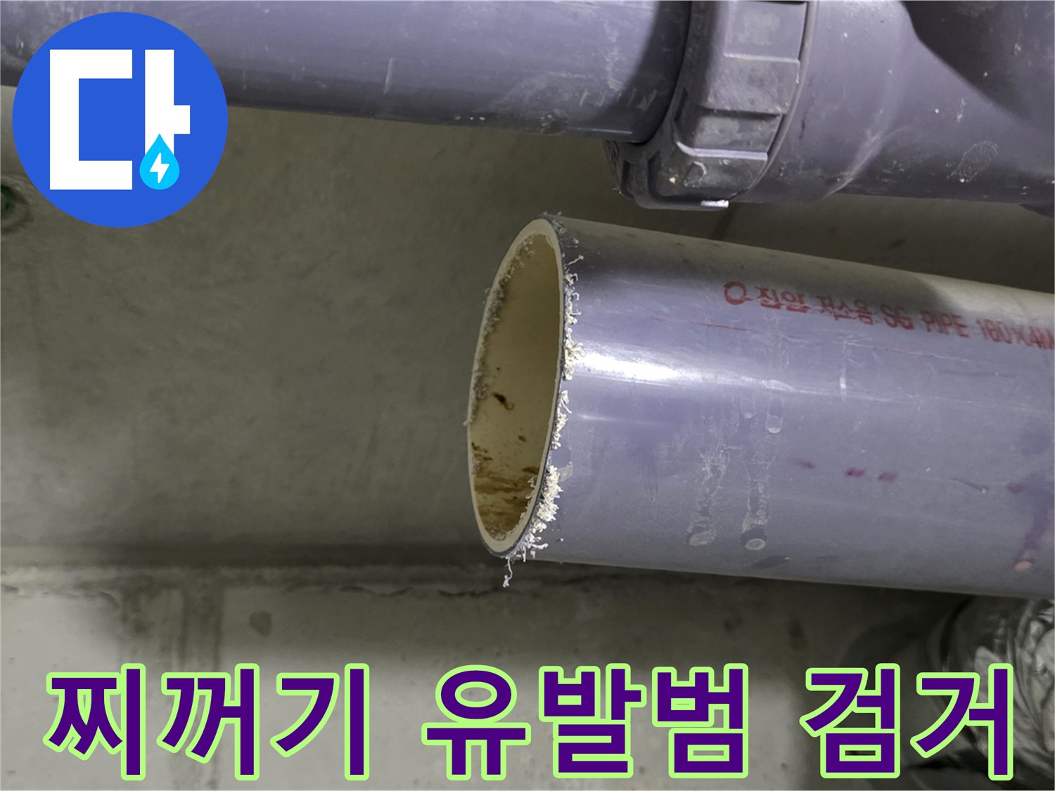 성남시 분당구 누수 현장 - 배관 속에서 발견된 찌꺼기를 보여주는 사진 - 누수 유발범을 검거했습니다!