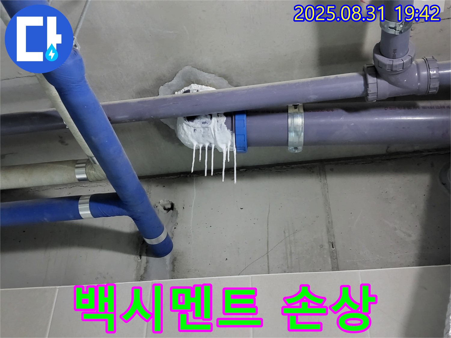 성남시 분당구 운중동 산운로 욕실 누수 - 핀 시공 주변 백시멘트 탈락 및 곰팡이 발생 확인