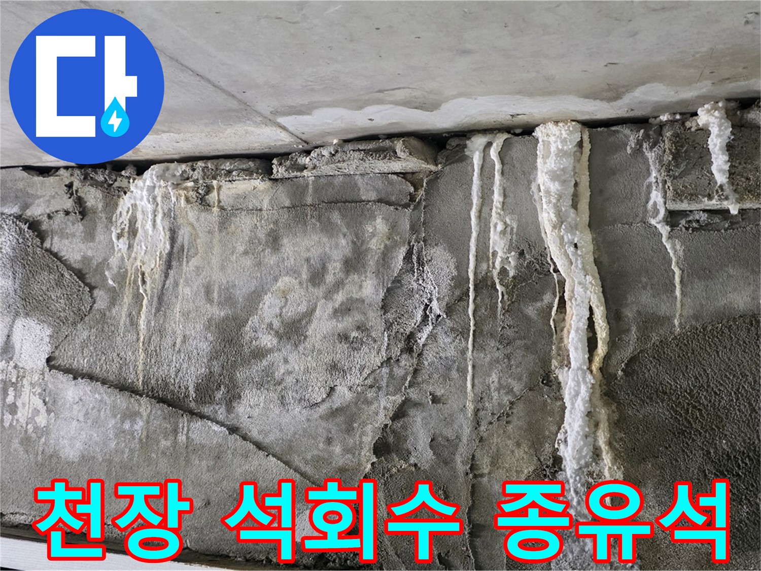 운중동 누수 - 천장 석회수 종유석, 붕괴 카운트다운