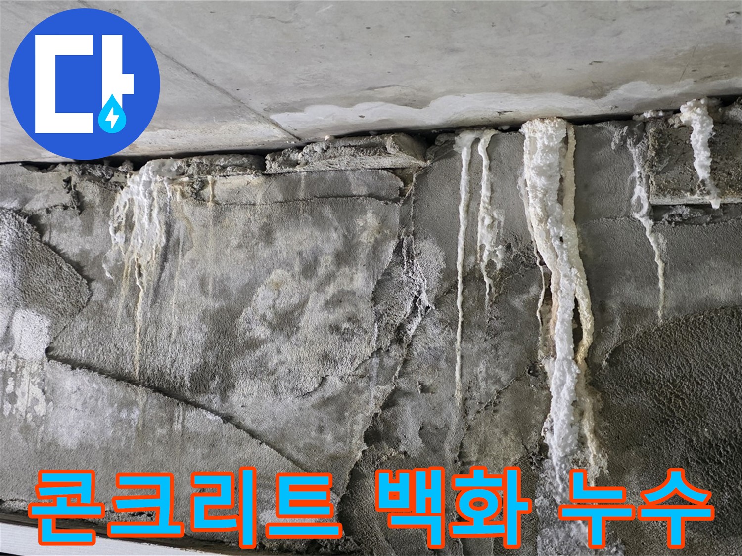 운중동 누수 - 콘크리트 벽 백화, 건물 골절상