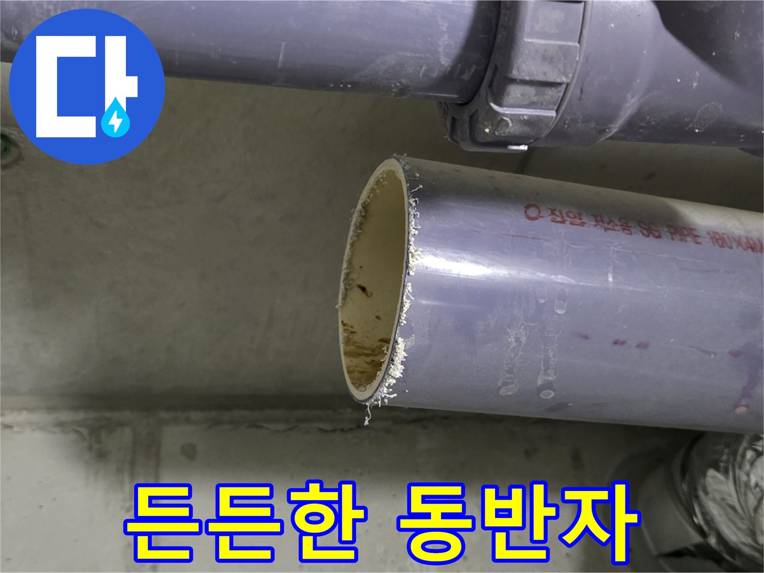 운중동 누수 현장 - 고객에게 누수 문제 해결 과정을 친절하게 설명하는 전문가 - 든든한 동반자가 되어드립니다.