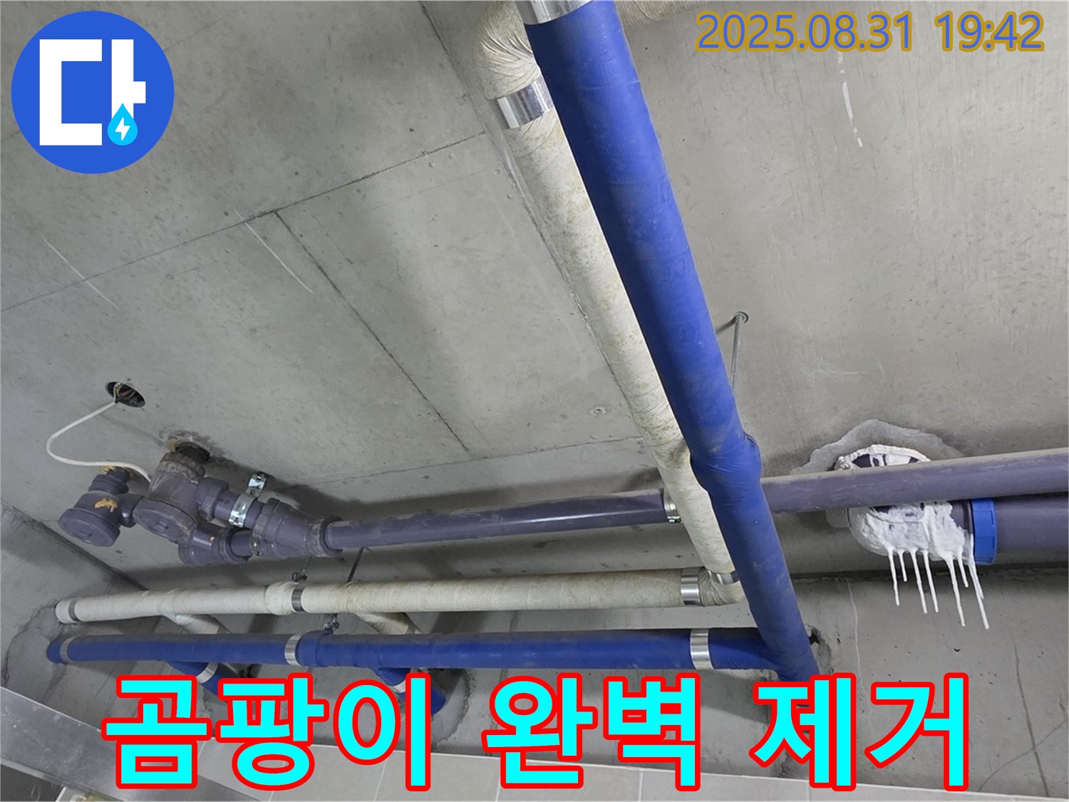 운중동 산운마을 6단지 아파트 천장 누수 - 곰팡이 발생 원인과 누수의 관계를 파악하고 완벽하게 제거합니다.