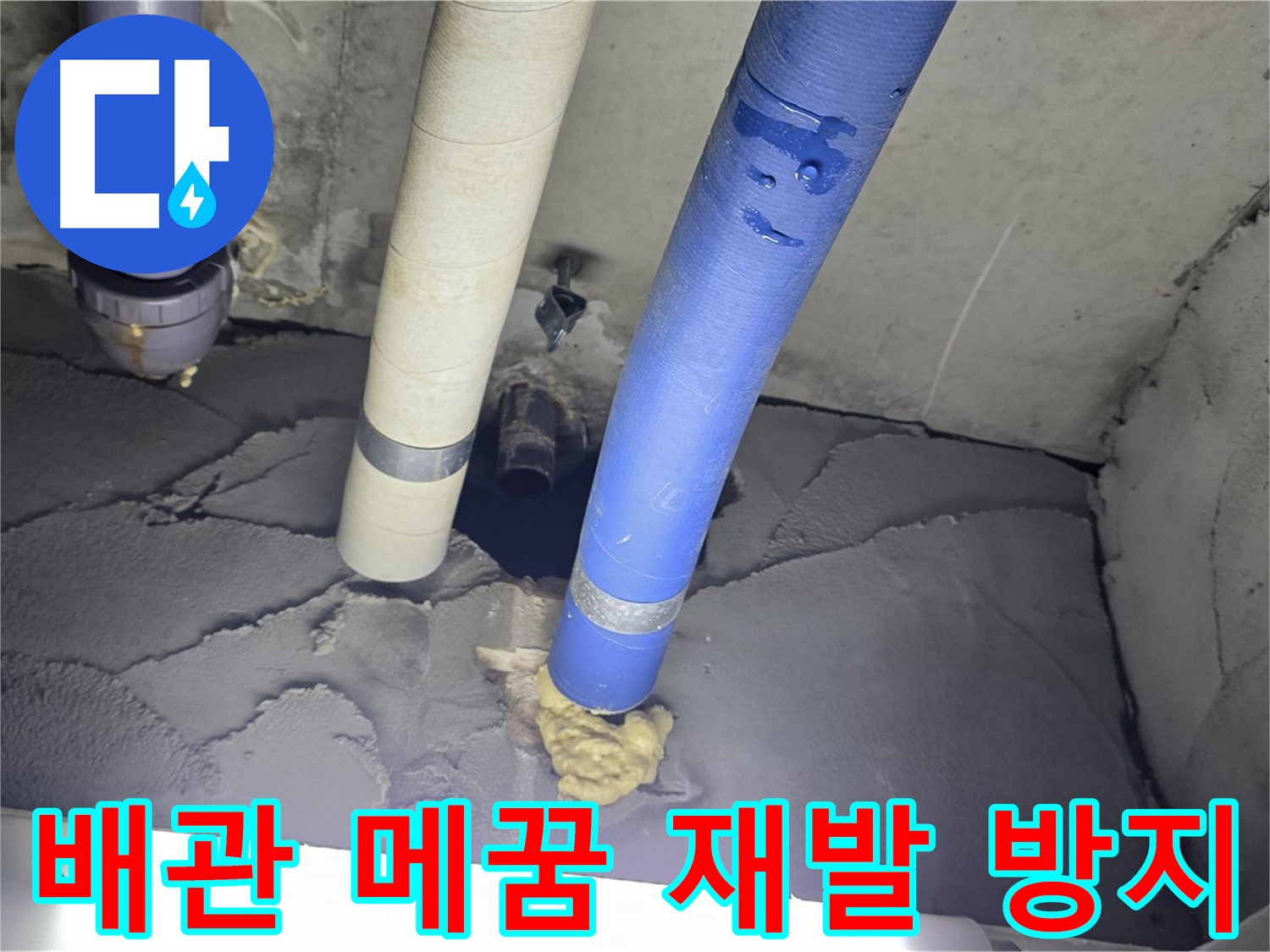 운중동 산운마을 누수 - 배관 주변 꼼꼼 메꿈으로 누수 재발 방지