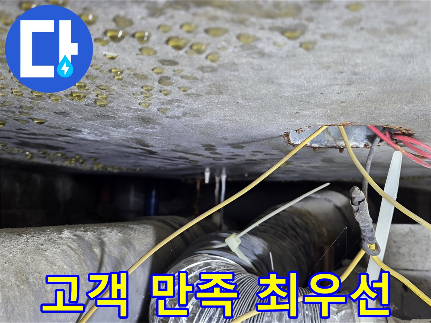 고객 만족 최우선 누수 해결 - 콘크리트 균열과 배관 문제 해결