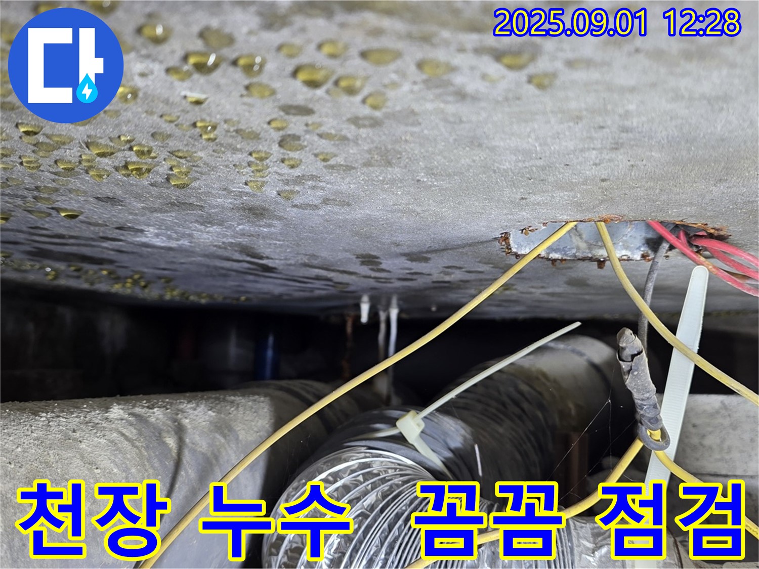 광진구 능동 아성빌라트 천장 누수 - 꼼꼼한 점검으로 누수 원인 파악, 확실한 해결 약속