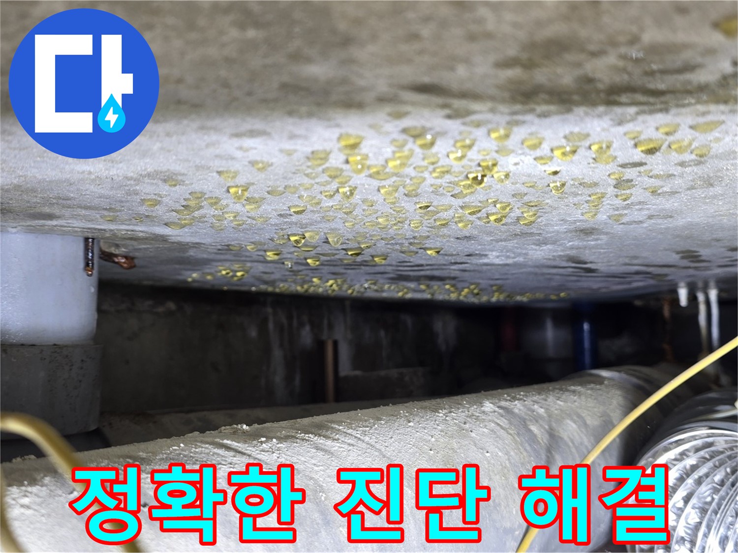 광진구 능동 아성빌라트 천장 누수 - 정확한 진단과 확실한 해결 약속