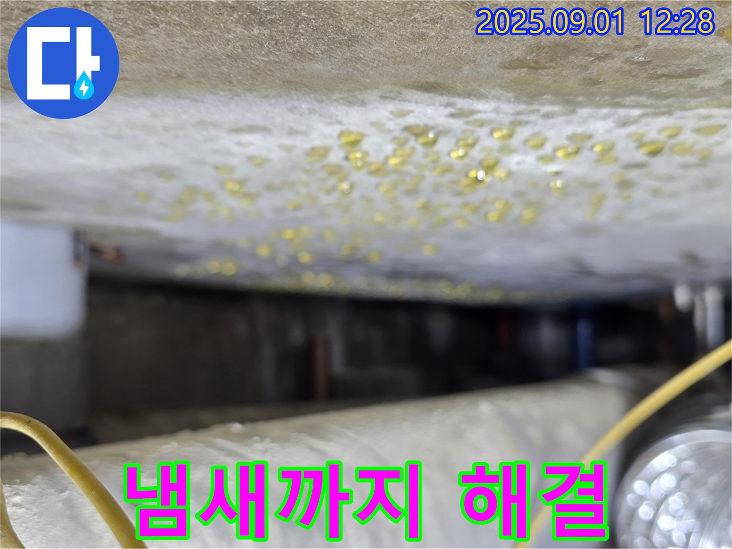 능동 아성빌라트 - 결로, 곰팡이 냄새 문제 동시 해결