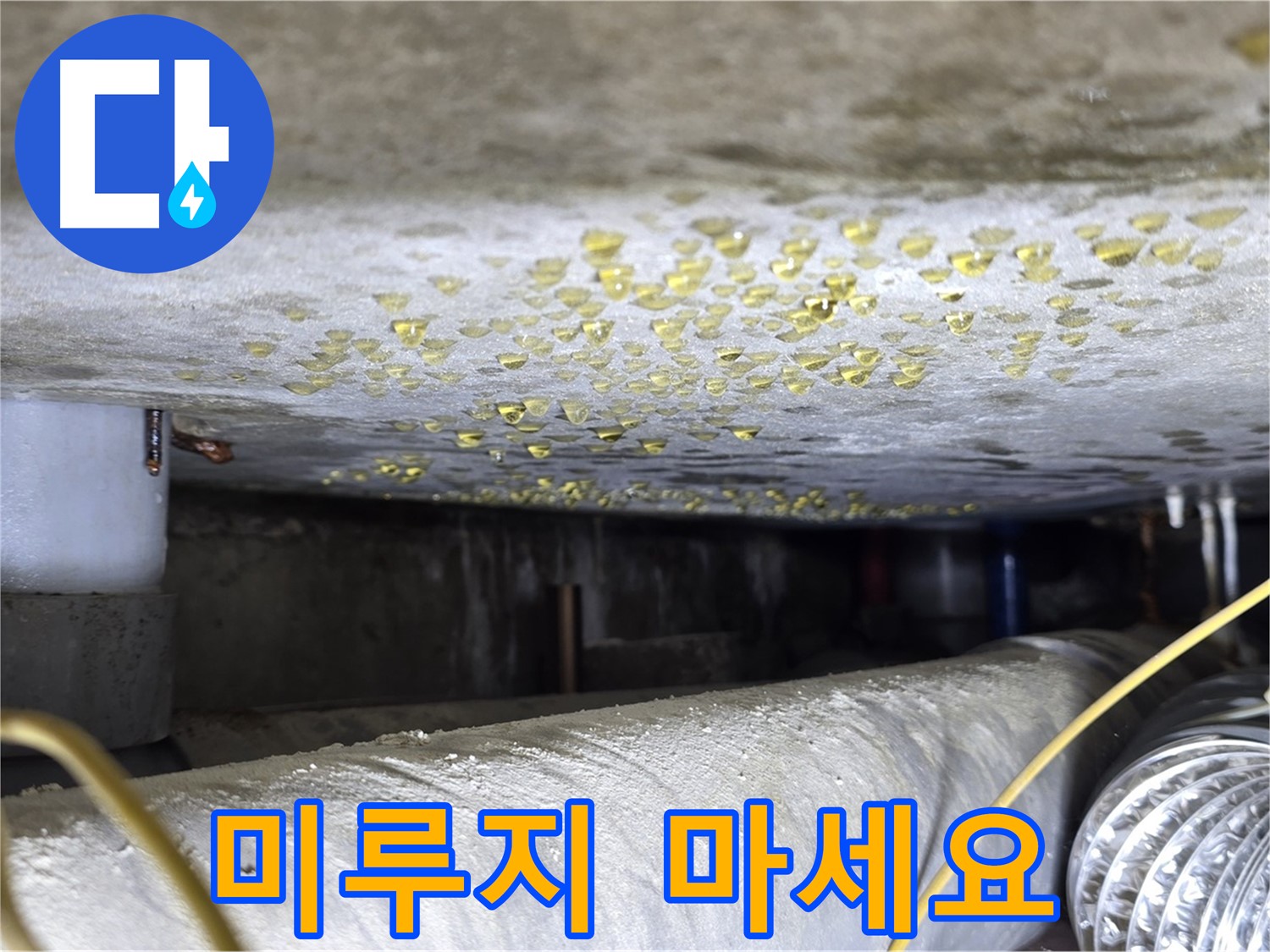 능동 아성빌라트 누수 - 누수 문제, 더 이상 미루지 마세요! - 빠른 해결
