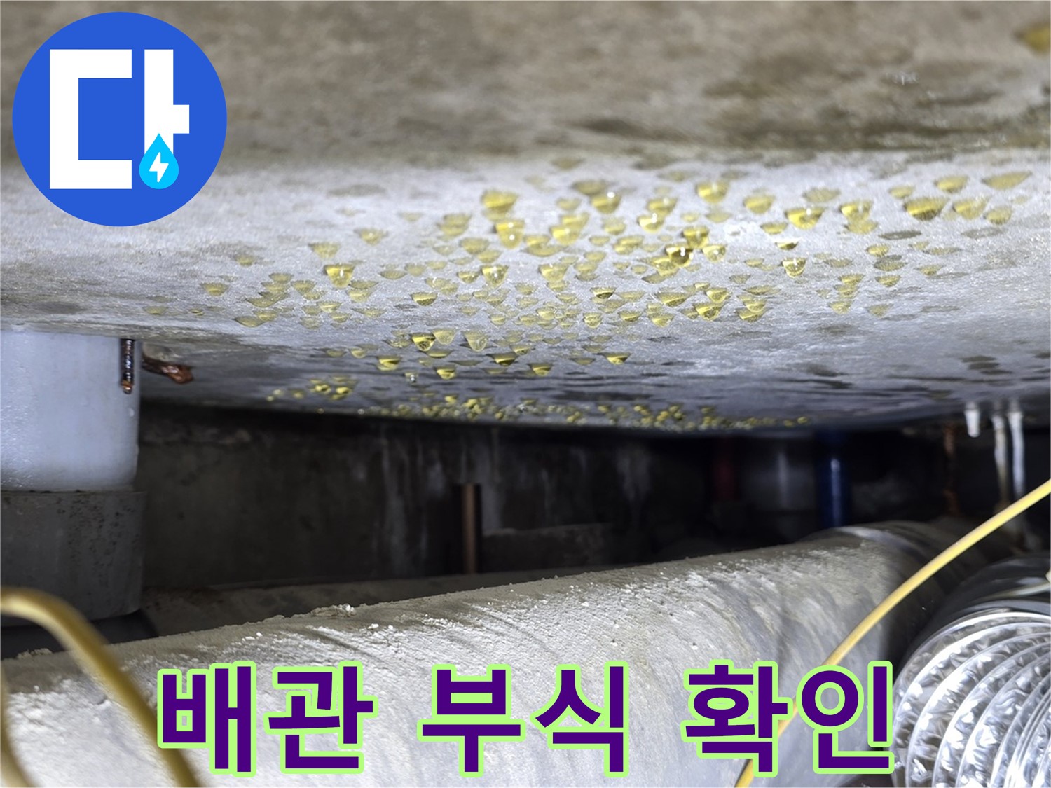 능동 아성빌라트 천장 누수 - 배관 부식 상태 확인 - 노후 배관 점검