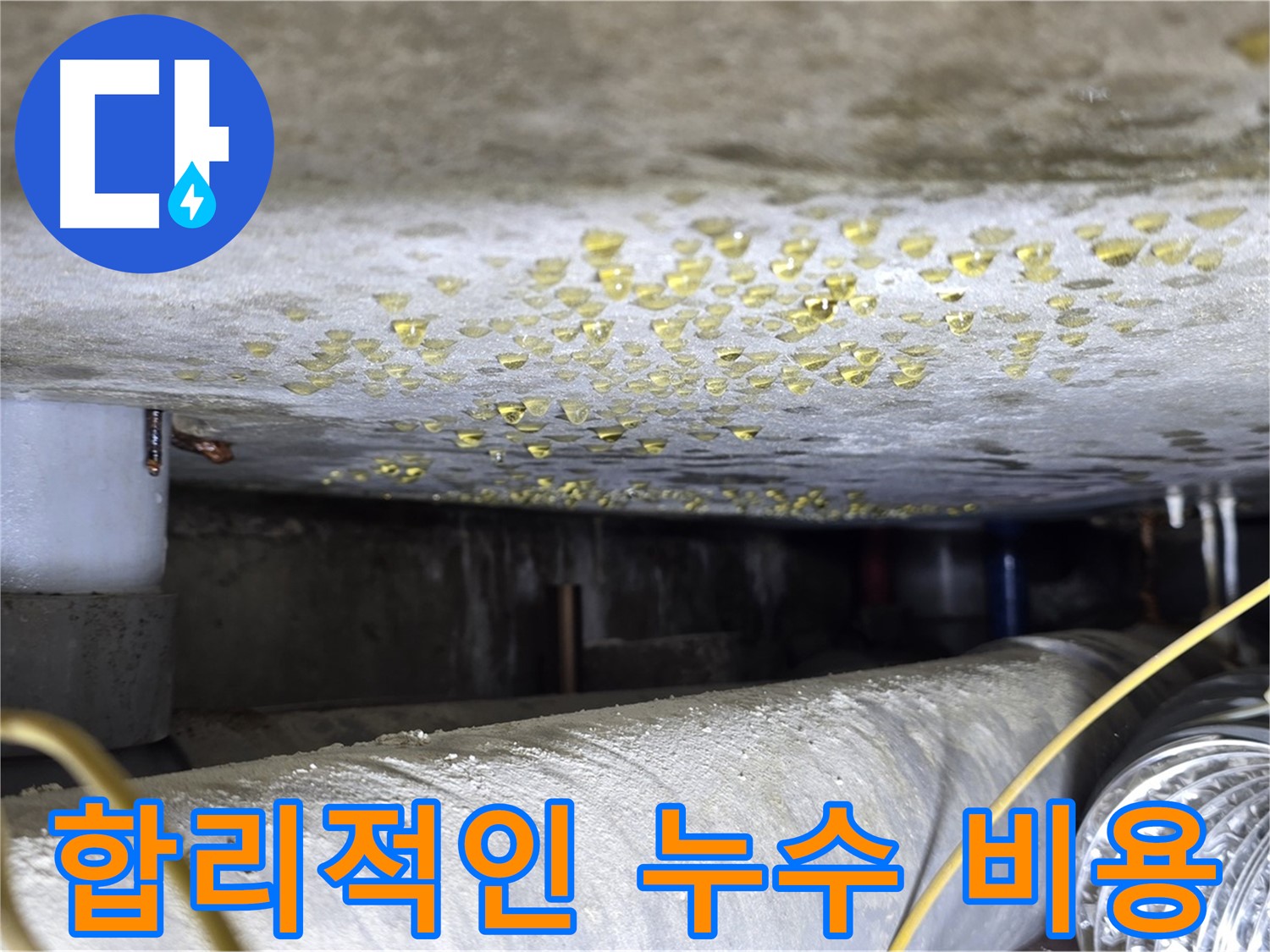 능동 아성빌라트 천장 누수 - 합리적인 비용으로 누수 해결