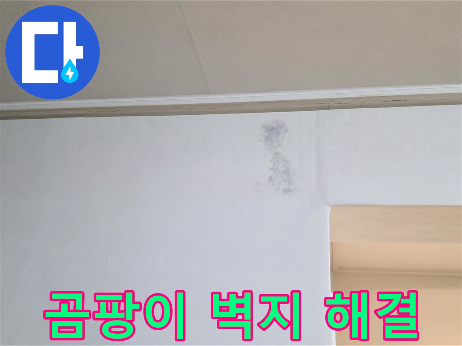 곰팡이 벽지 - 누수로 인해 발생한 곰팡이 벽지의 모습입니다. 확실한 해결을 보장합니다.