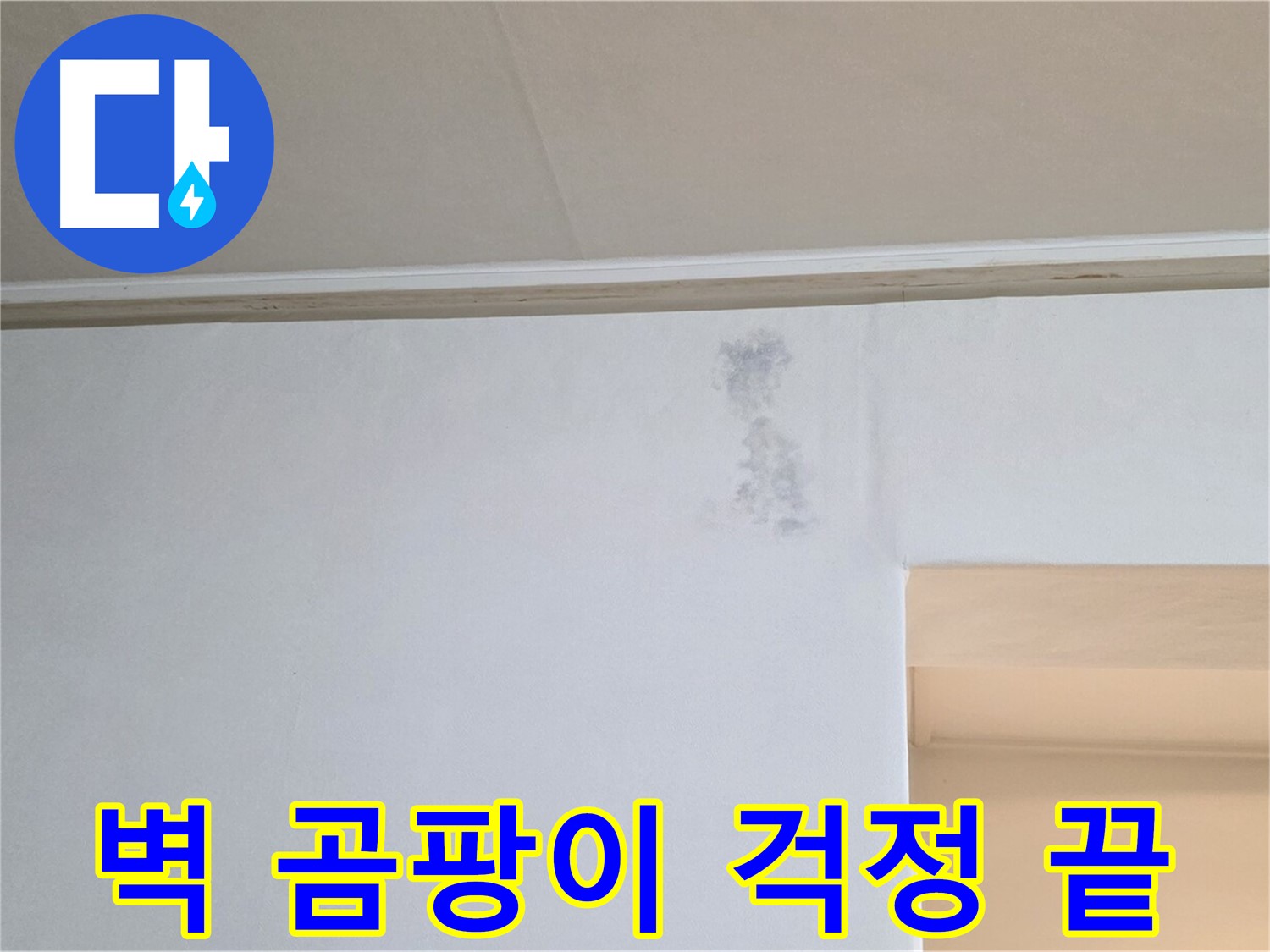 벽 곰팡이 - 곰팡이 문제를 해결하고 깨끗하게 복원된 벽면의 모습입니다. 이제 곰팡이 걱정은 끝!