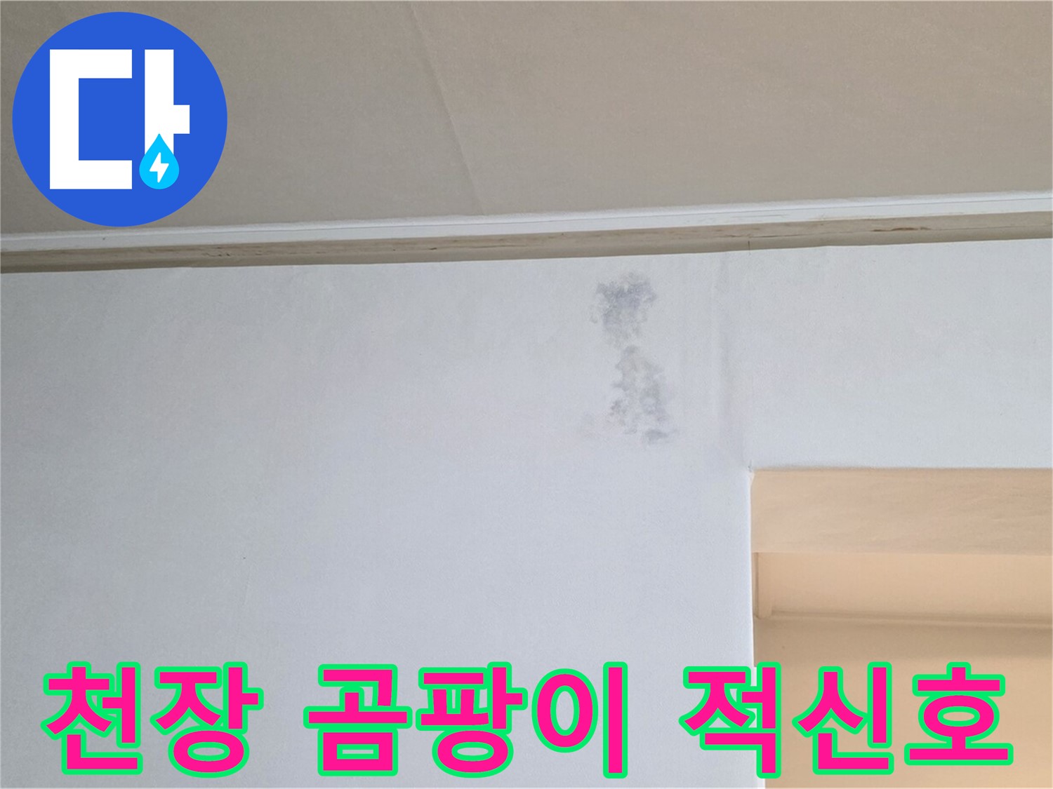 천장 곰팡이 - 건강에 해로운 천장 곰팡이의 모습입니다. 윗집 누수를 의심하고 즉시 제거하세요.