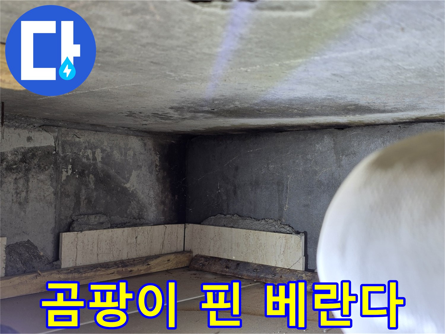 포천시 일동면 아파트 베란다 곰팡이 - 누수로 인한 곰팡이 발생
