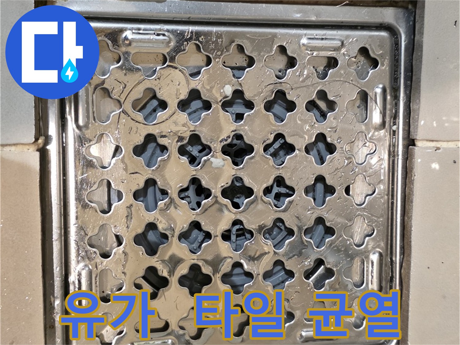 상가 천장 누수 - 2층 화장실 배수구 주변 방수 불량, 타일 균열 및 메지 손상