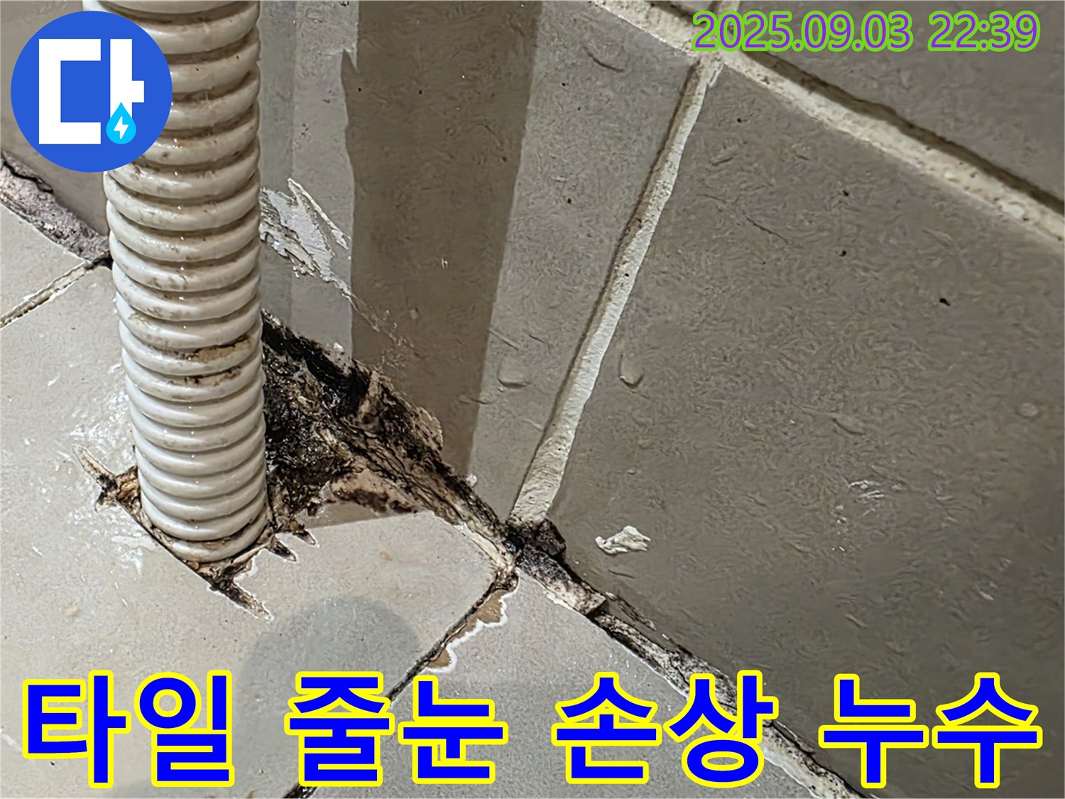 용산구 누수 - 타일 줄눈 손상을 확인하고, 누수 취약 지점을 꼼꼼하게 점검했습니다.