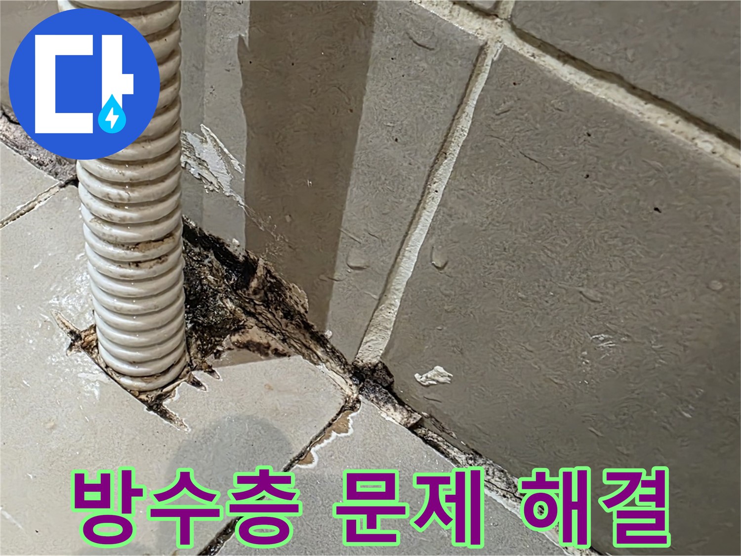 용산구 상가 화장실 누수 - 메지 상태 불량 및 방수층 크랙으로 인한 누수 발생