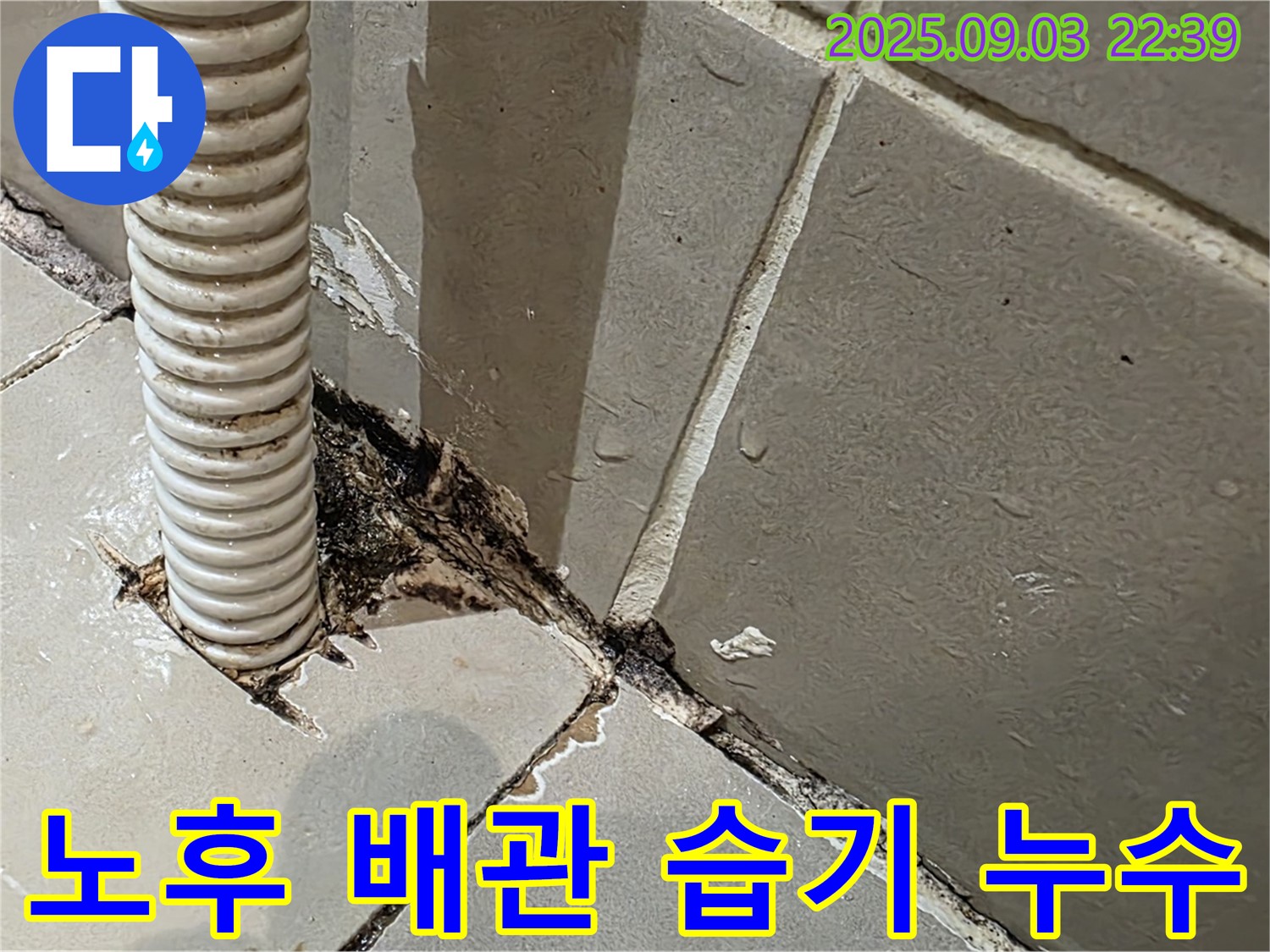 용산구 한강로2가 누수탐지 - 노후된 배관 주변의 습기를 누수 초기 증상으로 보고 정밀 탐지를 진행했습니다.