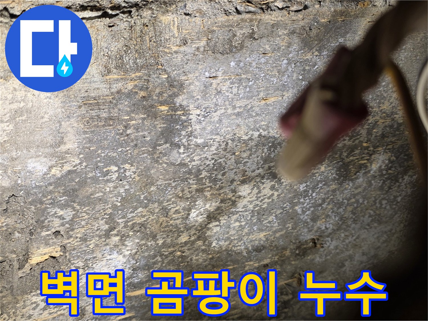 한강로2가 누수 현장 - 벽면 곰팡이 발생 원인이 누수임을 보여주는 사진입니다.