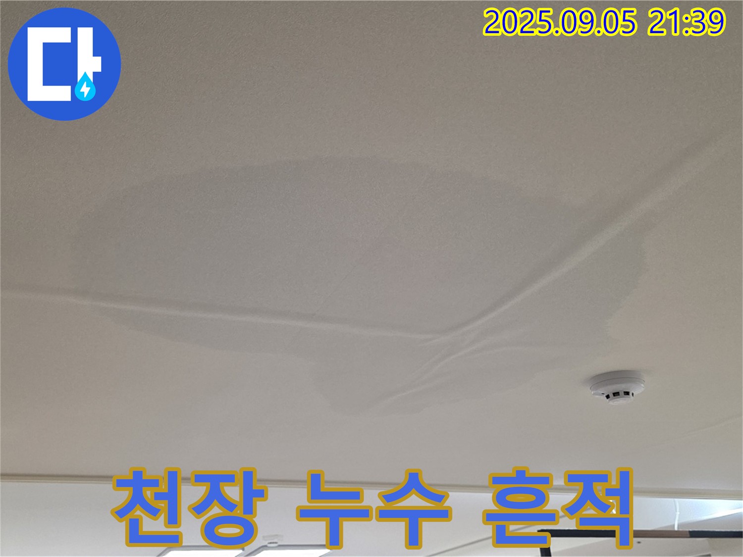 중랑구 면목동 아파트 천장 누수 - 젖어있는 천장 모습