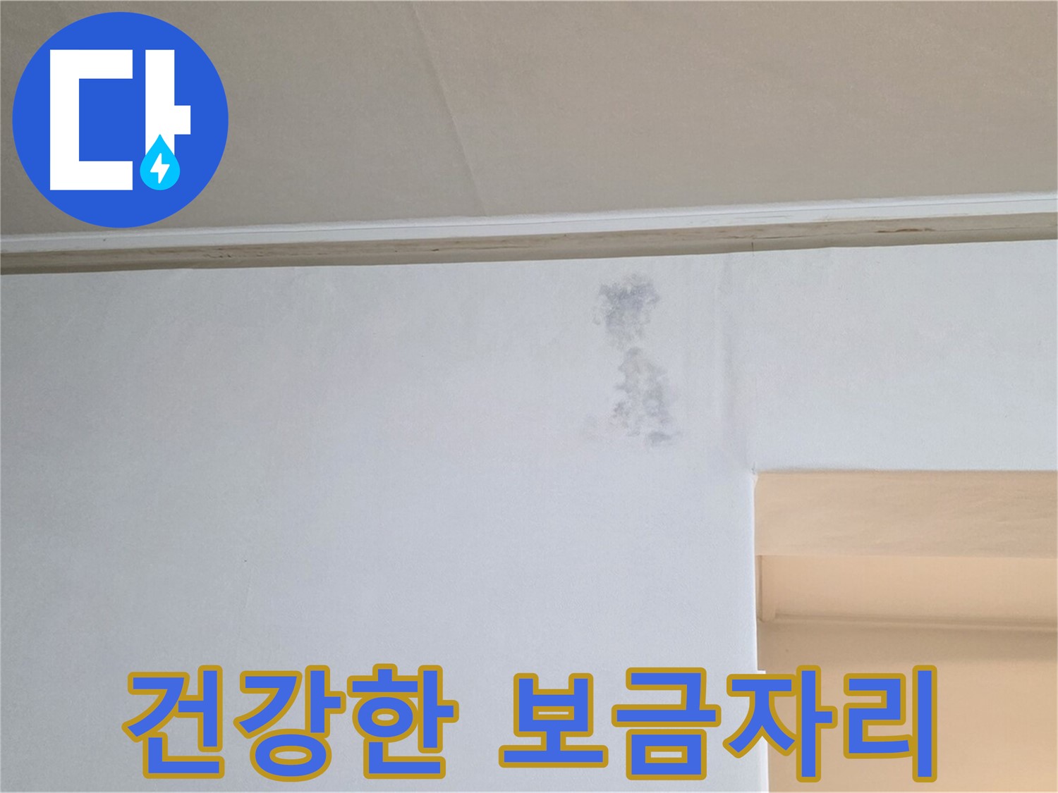 곰팡이 얼룩 없는 건강한 보금자리 - 행복한 삶