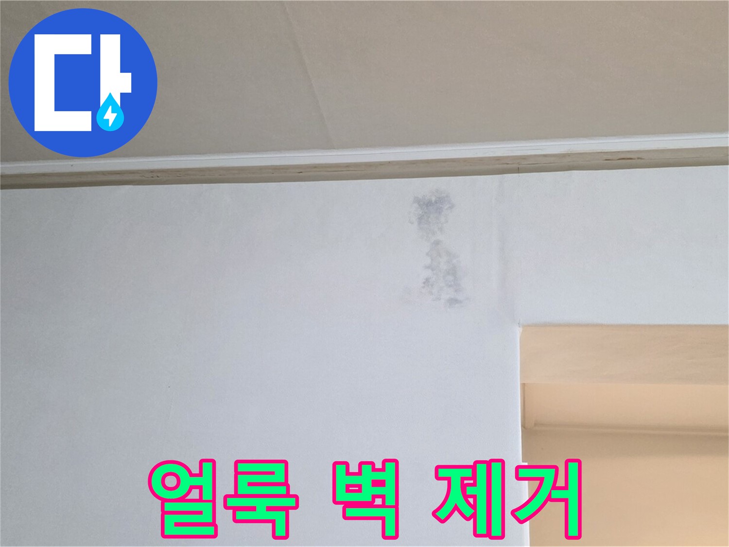 곰팡이 얼룩 완벽 제거 - 쾌적한 공간 변신