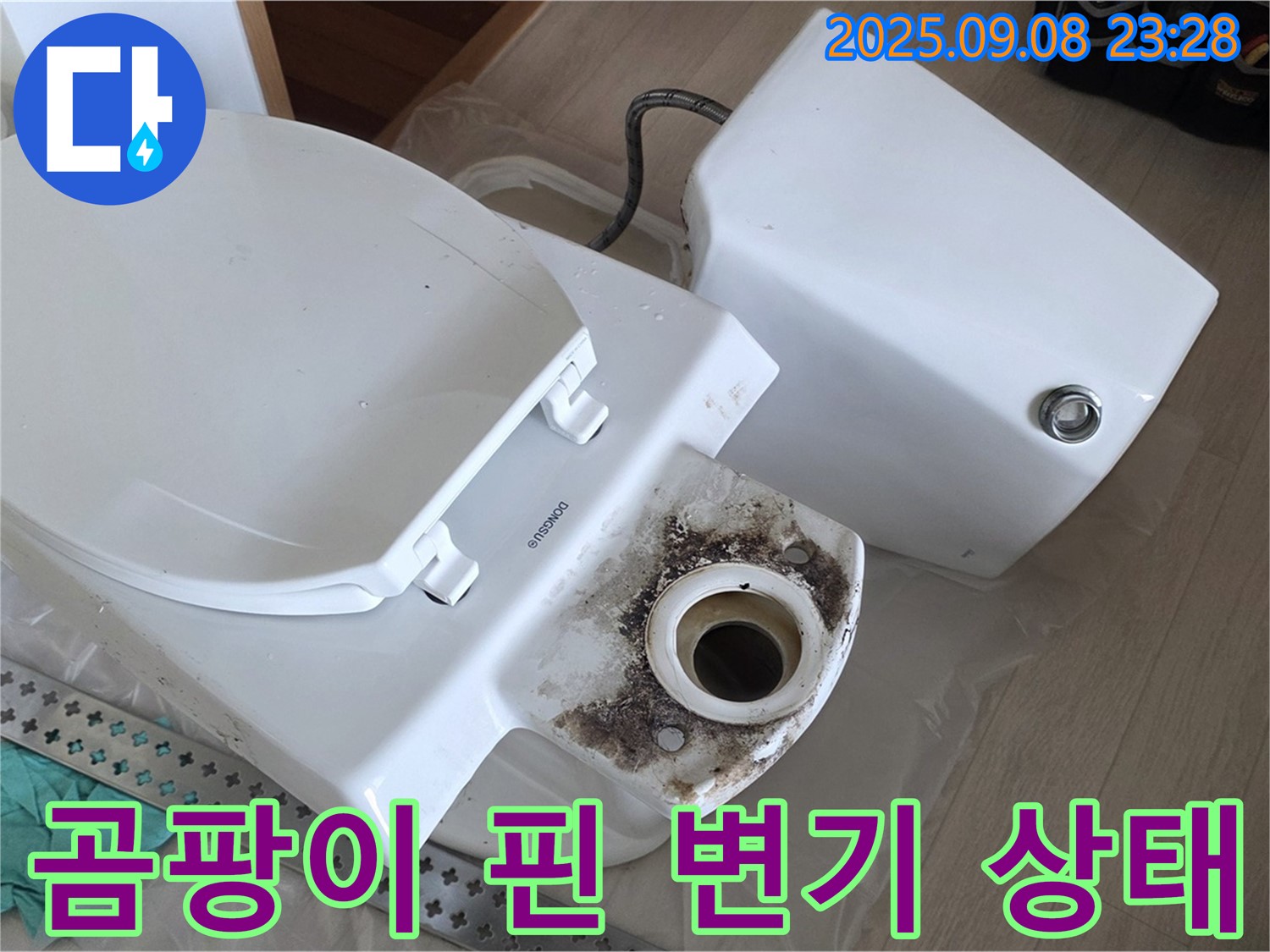 곰팡이 핀 변기 상태 - 오래된 변기 하부에 곰팡이가 심하게 핀 모습