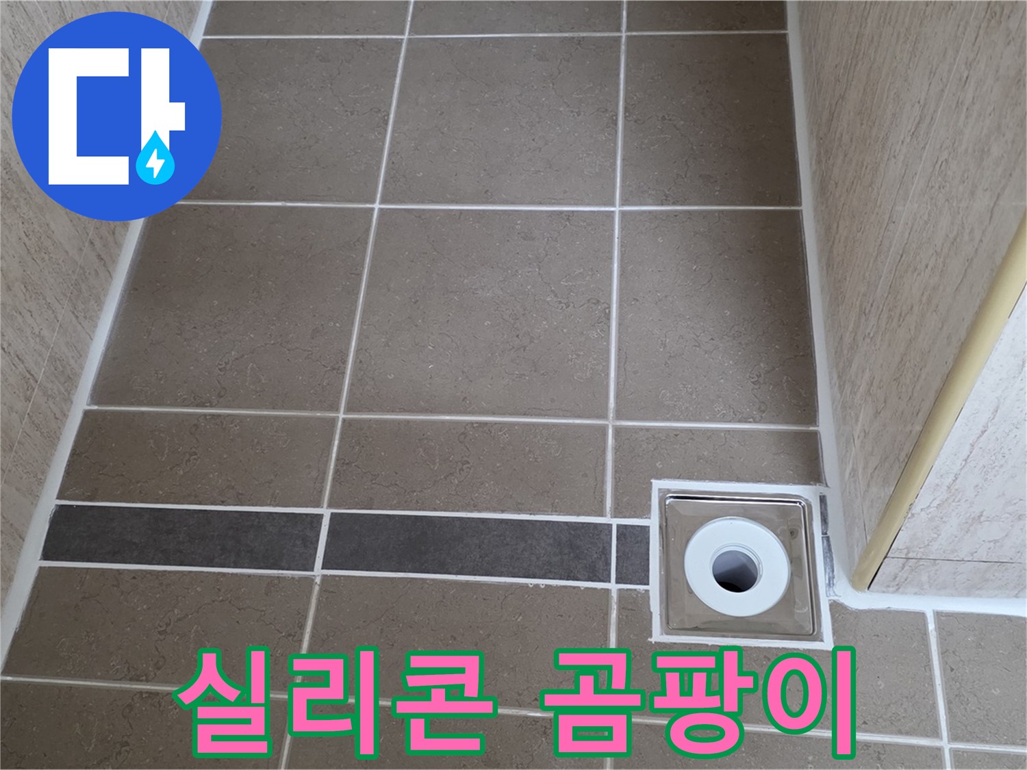 배수구 주변 실리콘 - 곰팡이