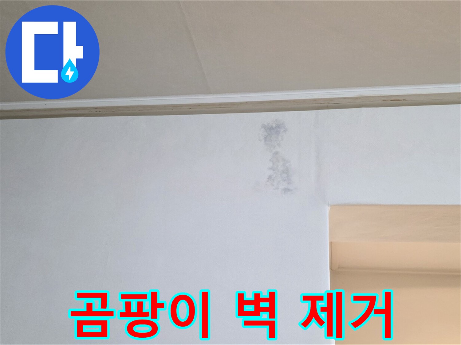 벽 모서리 곰팡이 제거 - 쾌적한 공간