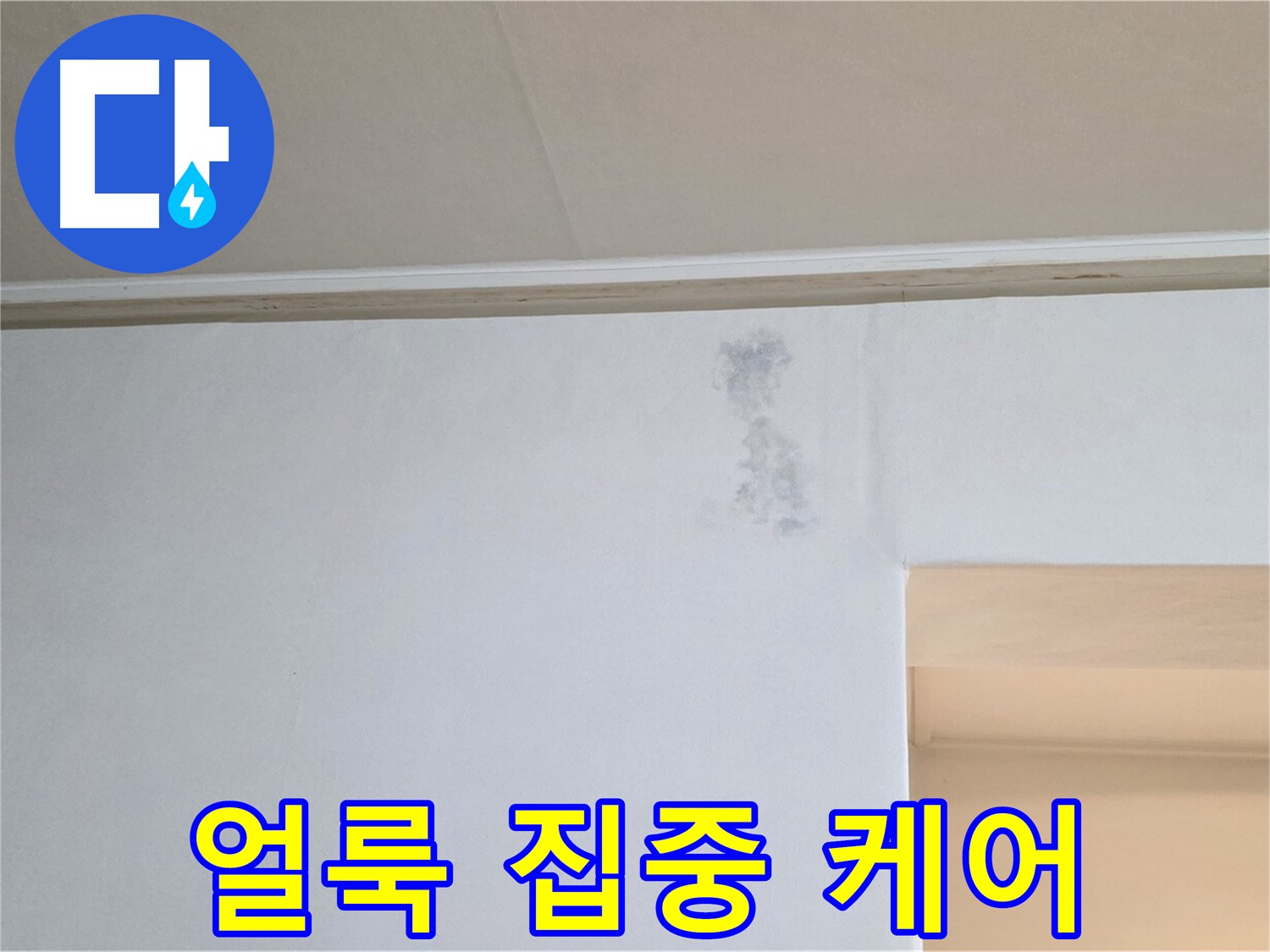 벽 얼룩 무늬 집중 케어 - 맞춤 솔루션 제공