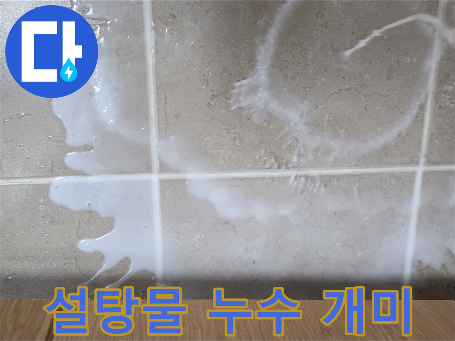 싱크대 밑 누수 - 끈적한 액체 - 설탕물 누수 의심 - 개미 확인