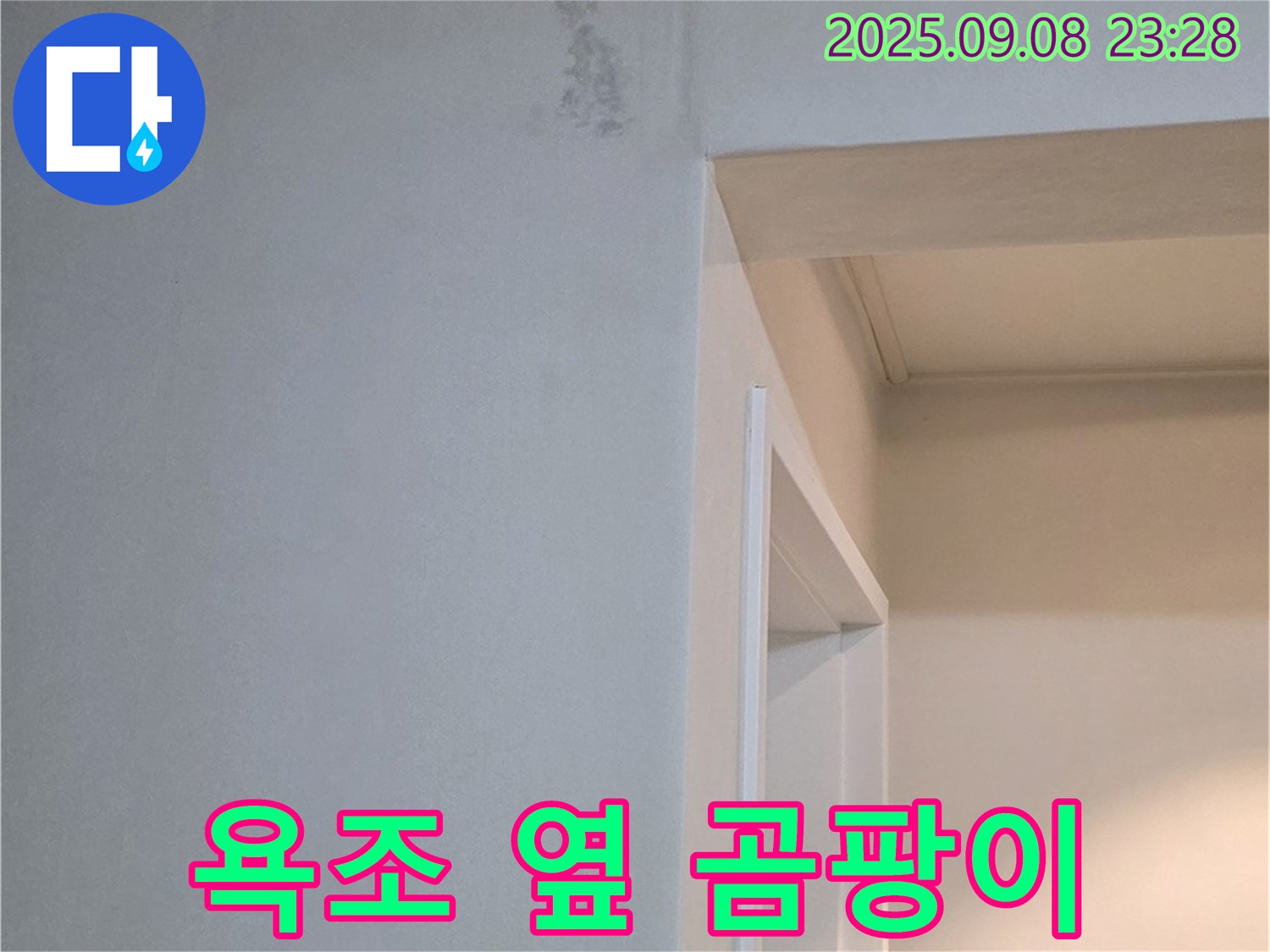 욕조 옆 곰팡이 - 완벽 제거 및 재발 방지 책임 시공