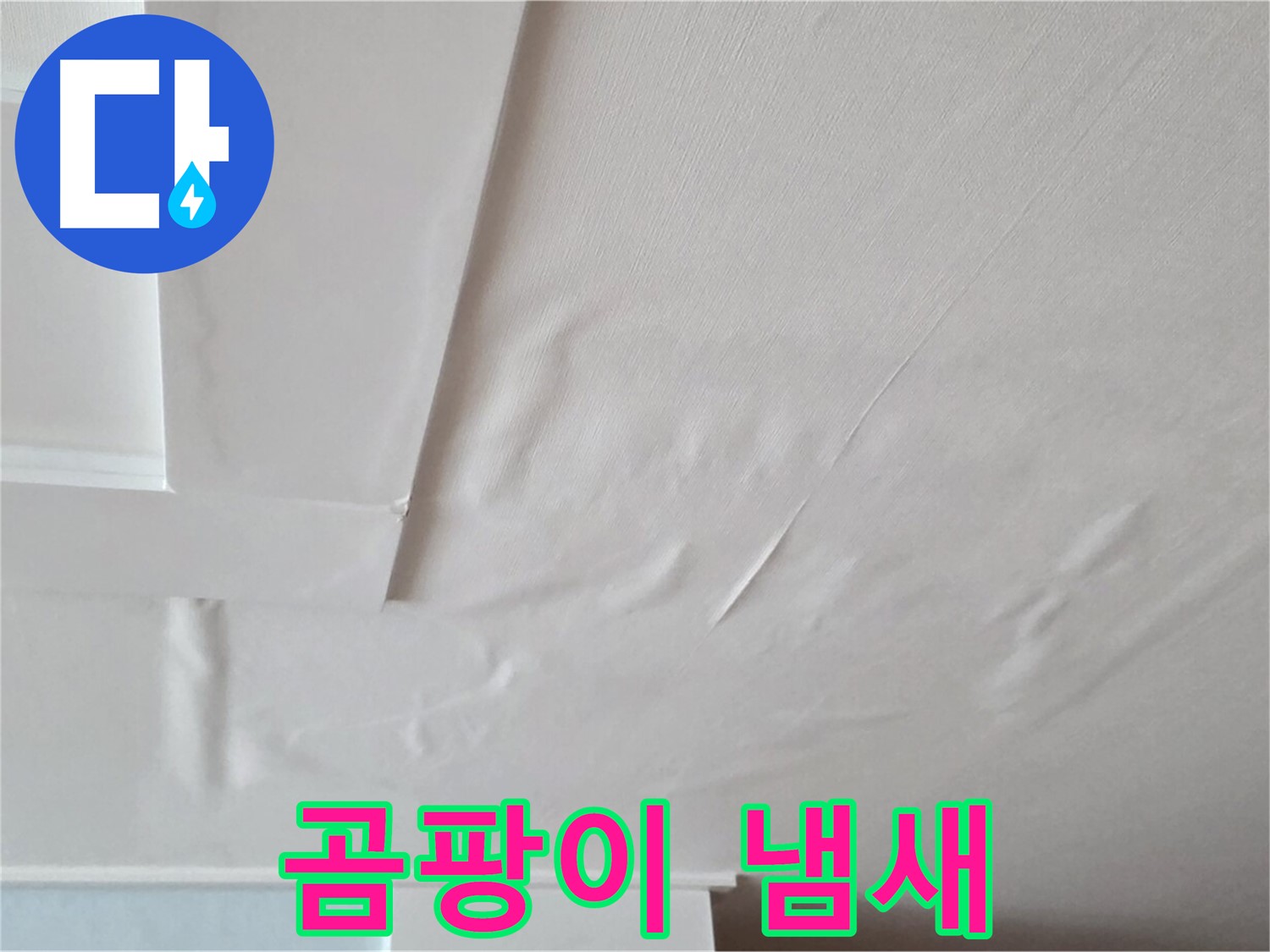 일동기산베스트빌 아파트 천장 누수 - 곰팡이 냄새 발생