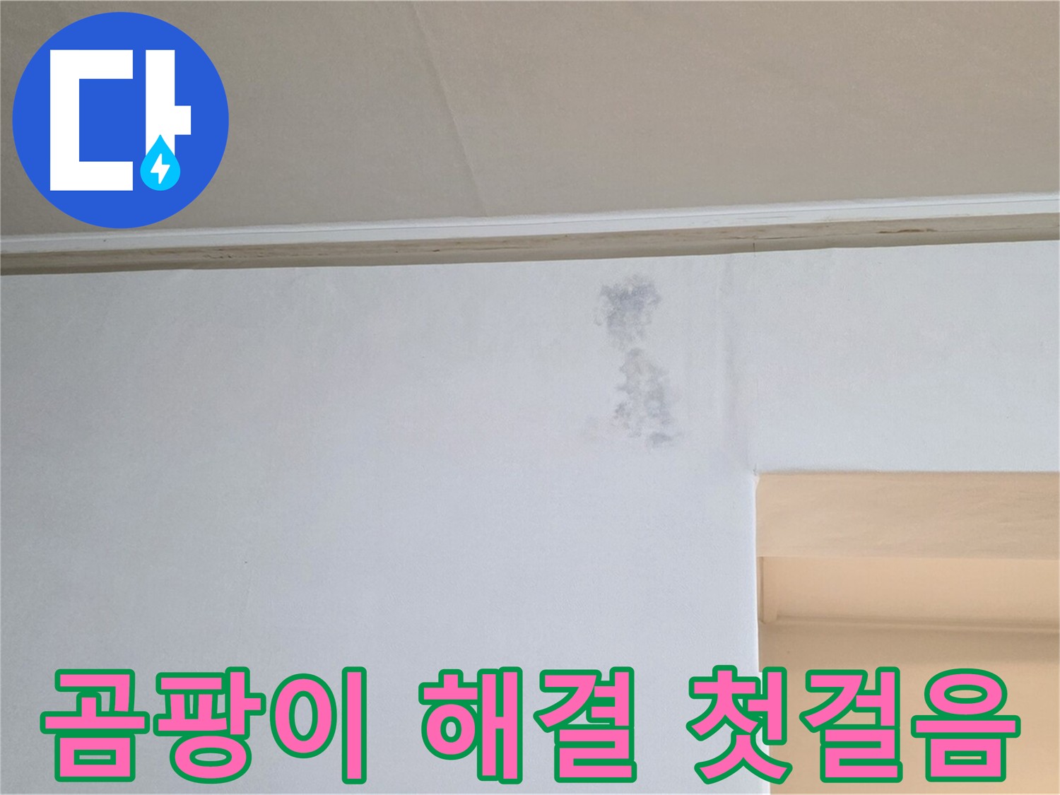 곰팡이 문제 완벽 해결을 위한 첫걸음 - 꼼꼼한 준비